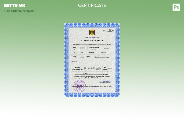 модерен стил Палестински витален рекорд од извод од матичната книга на родените 